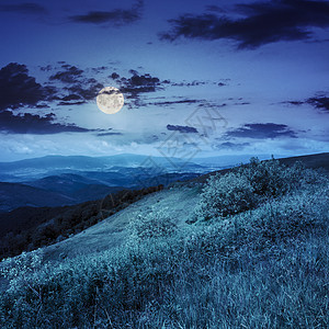 在山坡上亮光 夜间有林风景天空首脑行星旅游戏剧性场地木头石头旅行图片