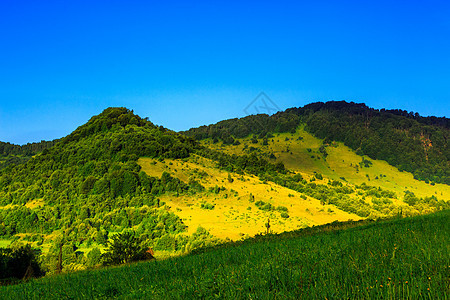 山坡上的山谷环境绿色农村草地爬坡季节植物森林旅行天空图片