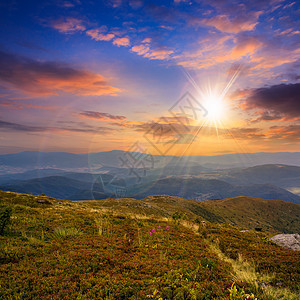 日落时山顶高山顶的高原野植物场地农村蓝色土地天空戏剧性植物群耀斑地平线光束图片