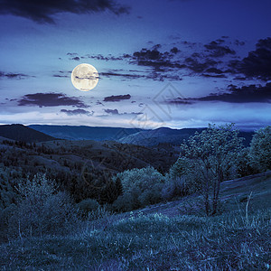 山边草原上的围栏 夜间在山上森林农村季节爬坡蓝色旅游种植园村庄天空行星图片