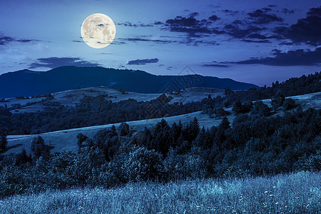 山边草原上的村庄 夜间在山上林林爬坡种植园农业蓝色自然风景月亮场地天空衬套图片
