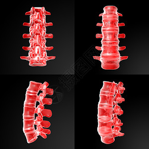 3d 朗巴插图图片