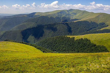 山顶高地野生植物绿色场景农村地平线植物群天空土地丘陵植物乡村图片