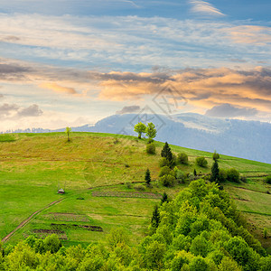 山边草原上的村落 天亮时有森林在山上风景村庄背光苏醒季节山坡天空叶子种植园旅行图片