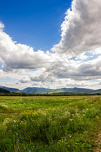 山岳的附近有田野环境森林风景乡村天空季节农村村庄爬坡绿色图片