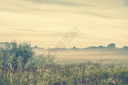在寒冷的清晨 在荒野中的早晨日落植物场景森林旅行远足国家天空薄雾冒险图片