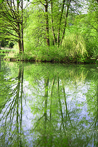 有树木的风景 水中反射着生态季节蓝色桦木镜子环境旅行阳光森林晴天图片