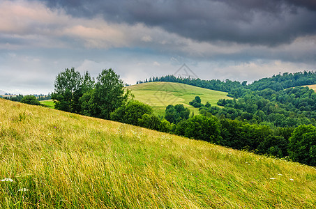 农村夏季风景 包括田地 森林和山区种植园草地干草天空地面绿色农业蓝色海拔多云图片