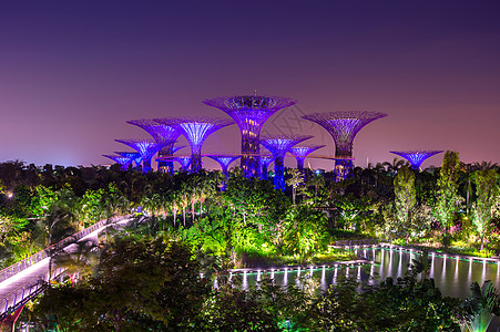 新加坡夜城风景旁的花园里的超级树图片