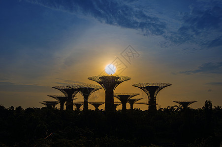 新加坡湾边的花园里的超级树地标旅行天空市中心码头奢华建筑场景公园旅游图片