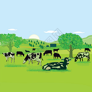 草地上的牛皮插图图片