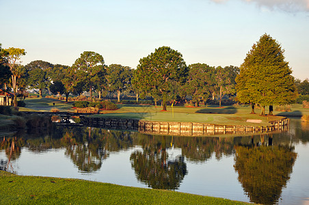 佛罗里达州奥兰多岛的Golf Green图片