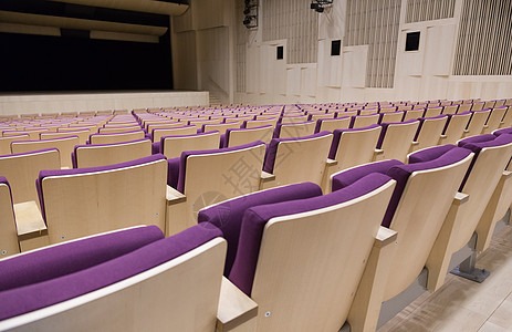 拉脱维亚国家图书馆大厅的椅子椅礼堂推介会商业习俗建筑学团体会议大学演讲剧院图片