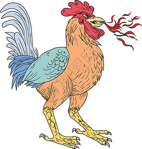 Basan 呼吸灯火灾绘图手工公鸡墨水野生动物刮板民俗手绘艺术品草图家禽图片