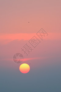 自然背景色彩多彩的日落阳光太阳太阳系天空太阳能橙子中心太阳耀斑纹理墙纸图片