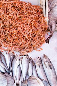 在摩洛哥Essaouira的鱼市场上展示新鲜海产食品图片