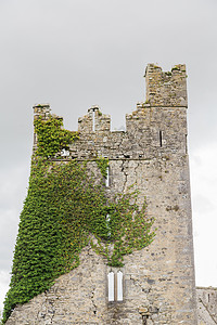 爱尔兰古老的石岩塔建筑崎岖城堡废墟石头爬藤建筑学背景图片