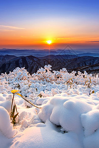 南韩冬雪覆盖的登山上美丽的日出 南朝鲜旅行荒野日落戏剧性全景童话运动爬坡假期太阳图片