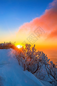 南韩冬雪覆盖的登峰造极山上顶峰全景爬坡季节旅行童话天空森林假期风景背景图片