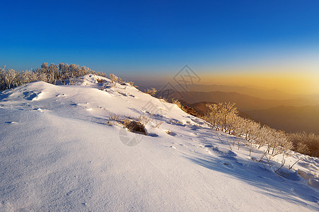 南韩冬雪覆盖的登峰造极山上爬坡童话森林旅行天气季节风景荒野天空假期背景图片