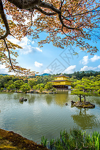 京角寺庙池塘金子将军旅游文化地标佛教徒公园建筑学目的地图片