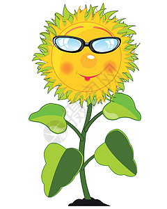 植物向日葵的卡通图片