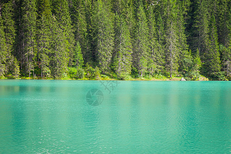 意大利多洛米提地区布赖斯湖公园风景岩石远足树木山脉旅行假期地标全景图片