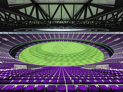 漂亮的现代圆形澳式足球场 配有紫色座椅和贵宾包厢场地玻璃娱乐惩罚竞赛草皮运动体育场邮政椅子图片