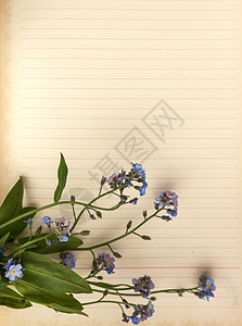 笔记本的旧空白页 有一束忘记我的花束皮肤艺术规划师写作桌子乡村木头日记花朵议程图片