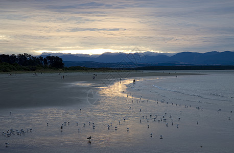 Nelson 新西兰海岸国家公园旅游海滩图片
