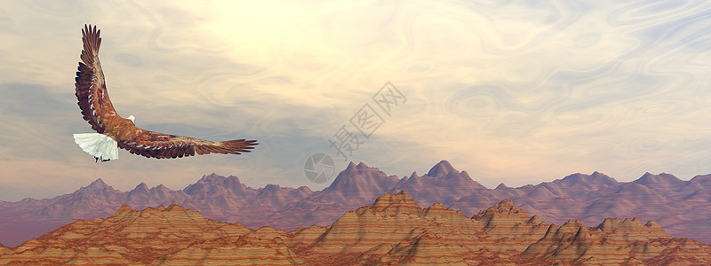 白头鹰在落基山脉上飞翔  3D rende峡谷自由天空日落光束插图棕色皇家翅膀飞行图片