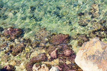 浅海海水背景的多彩岩石 绿苔岩卵石苔藓鹅卵石支撑液体太阳海滩波纹海洋泡沫图片