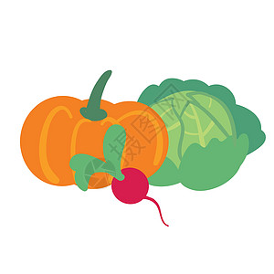 白上隔离的一套蔬菜茄子农作物食谱插图果汁节食水果农场南瓜萝卜图片