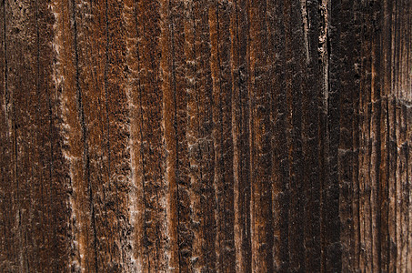 树木墙壁背景核桃地面控制板木材空白木板棕色木头桌子木地板图片