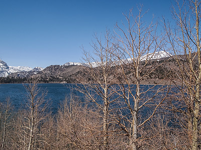 美丽的湖泊 雪山和松树天空绿色森林公园反射旅行季节风景图片