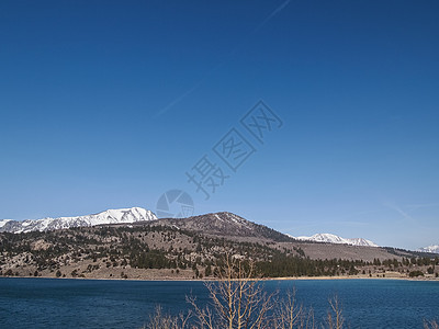 美丽的湖泊 雪山和松树绿色风景旅行森林公园反射天空季节图片