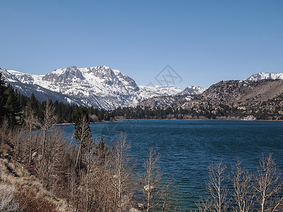 美丽的湖泊 雪山和松树绿色季节公园风景天空森林旅行反射图片