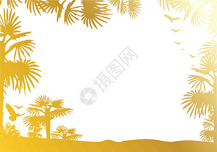 照片框 夏天你好 金棕榈树背景图片