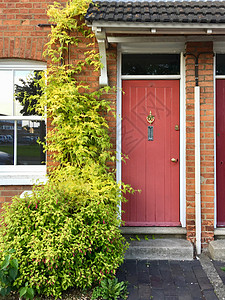 旧红门植物木头房子砖块绿色入口建筑物图片