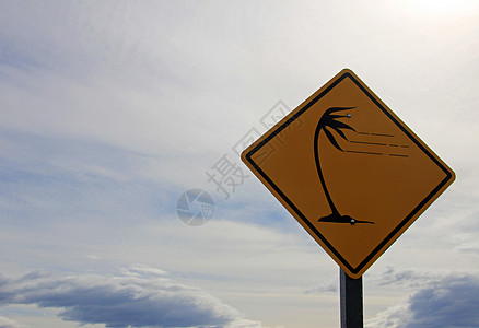 巴塔哥尼亚高风路标志黄色路线微风旅行阵风街道蓝色力量交通棕榈注意力图片