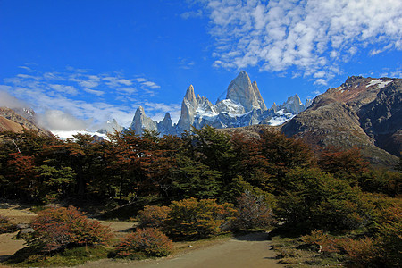 阿根廷洛斯格拉西亚雷斯国家公园Fitz Roy山蓝色首脑天空山脉地标岩石公园旅游森林全景图片