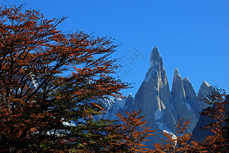 阿根廷国家公园 秋色的Cerro Torre山图片