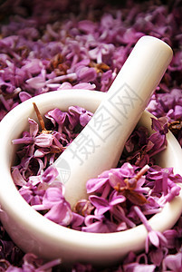 Lilac 鲜花百蛋加工香气药品草本植物砂浆植物群紫色荒野香味疗法植物学图片