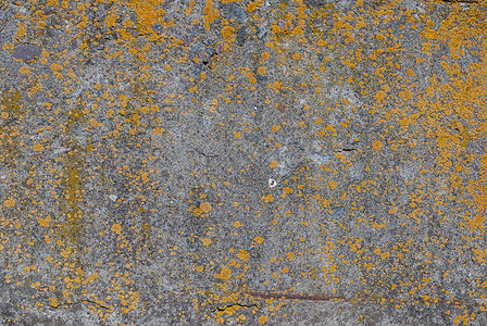 旧混凝土墙 纹理背景象牙建筑灰色橙子水泥黄色地衣石头合金风化图片