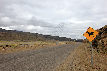 阿根廷巴塔哥尼亚公路上山羊示警标志交通警告蚊蚋危险背景乐趣动物蓝色通行证注意力图片