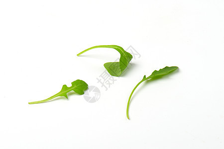 新鲜树叶叶绿色蔬菜火箭植物食物沙拉叶子图片
