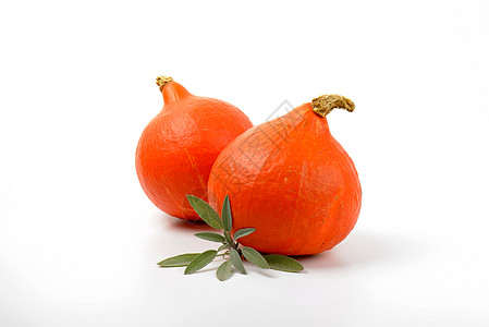 橙南南南瓜和白红橙子香料智者草本植物叶子蔬菜圆形感恩小枝枝条图片