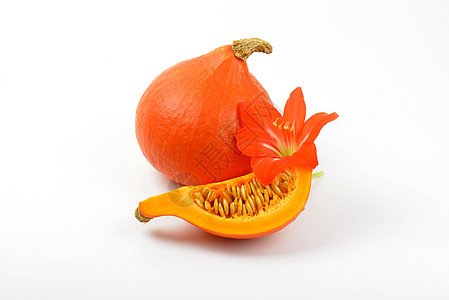 桔橙南南瓜和木豆花圆形橙子感恩葫芦蔬菜种子木槿食物背景图片