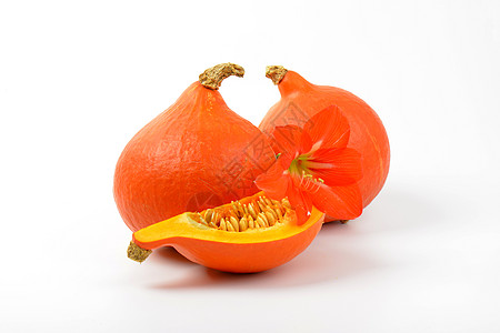 桔橙南南瓜和木豆花种子感恩蔬菜圆形橙子食物葫芦木槿背景图片