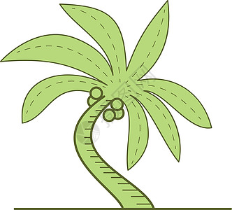 Curved 棕榈树单线椰子植物单子线宽绘画椰树画线插图厚度艺术品图片